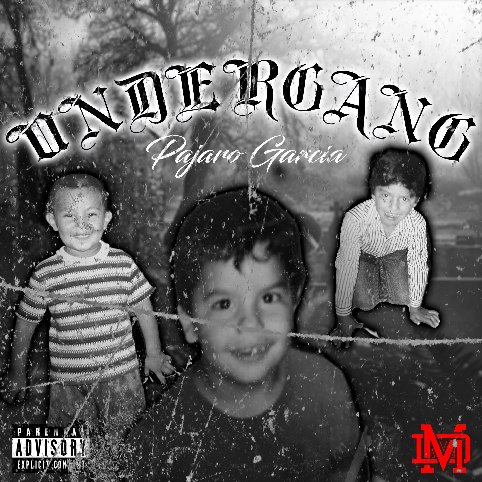 Album cover of UnderGang