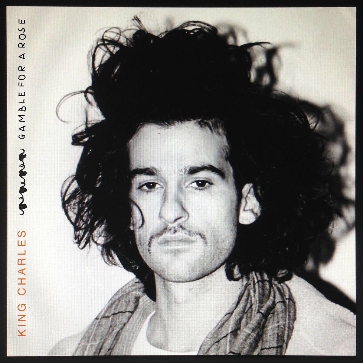 Album cover of Gamble for a Rose
