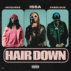 Cover of Hair Down