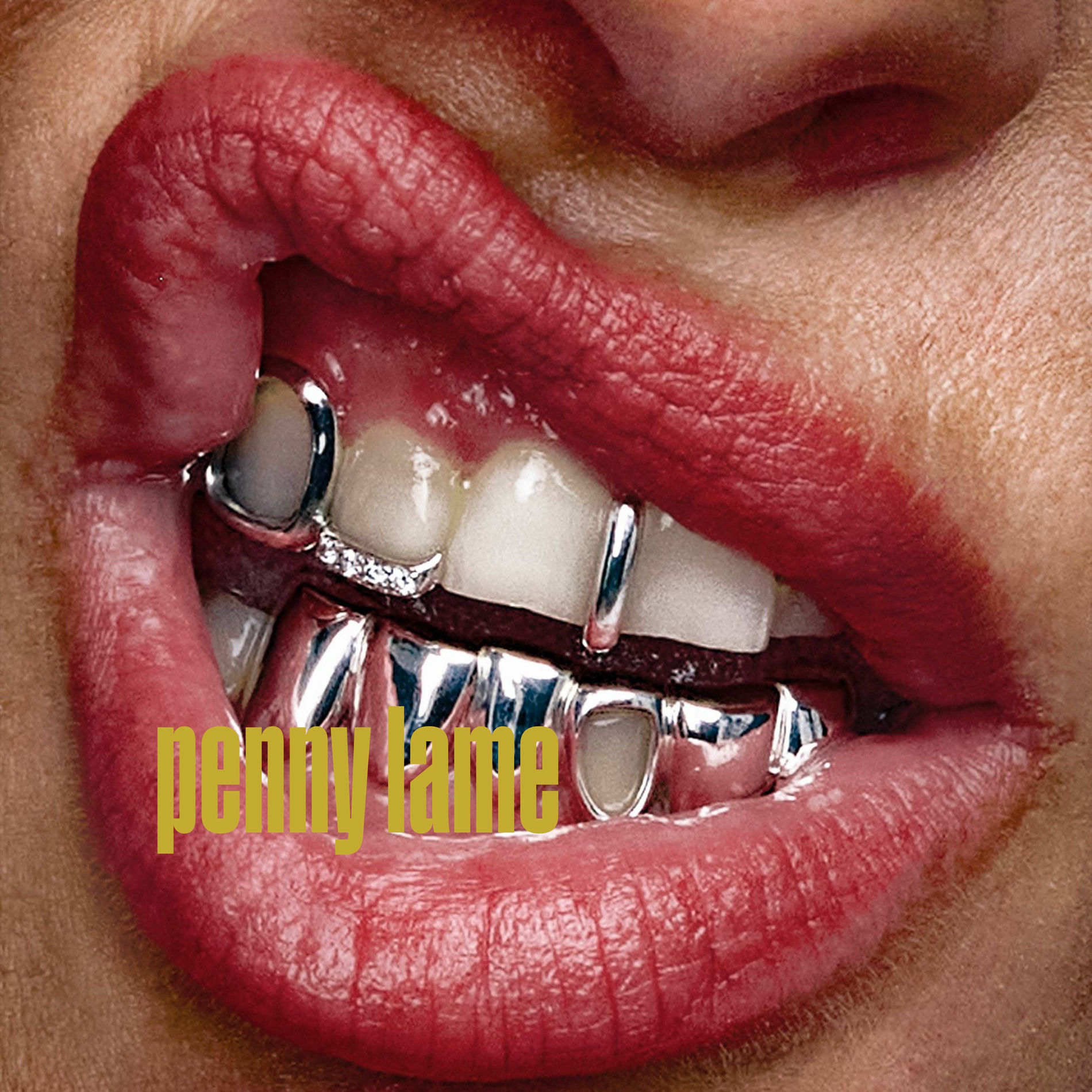 Album cover of PENNY LAME