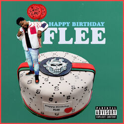 Cover of HAPPY BIRTHDAY FLEE