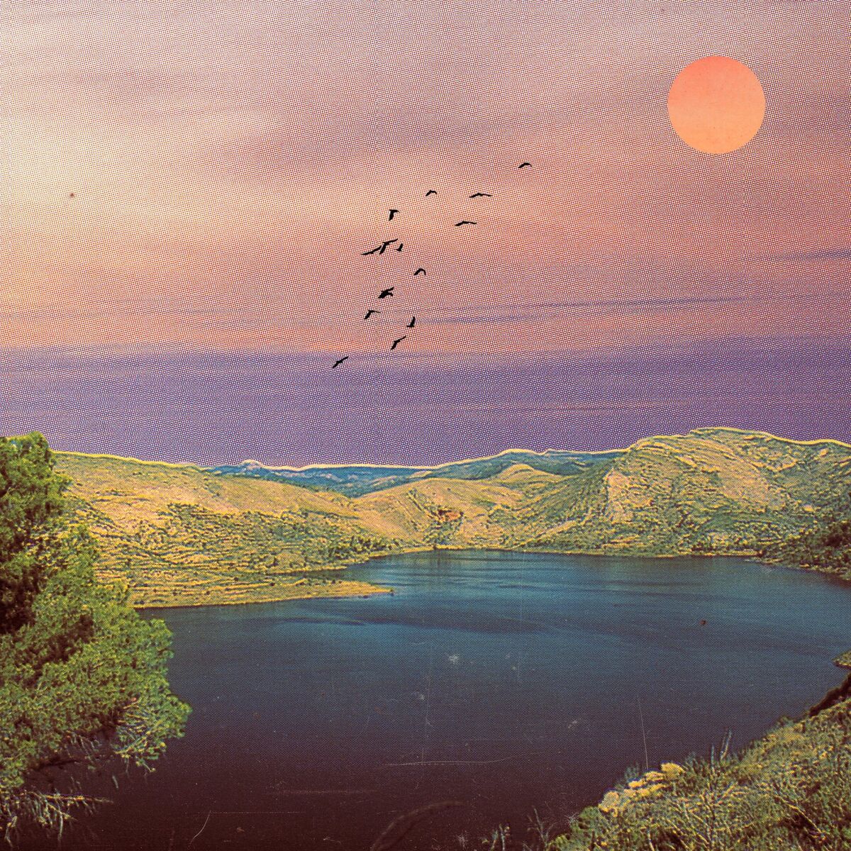 Album cover of courtyard