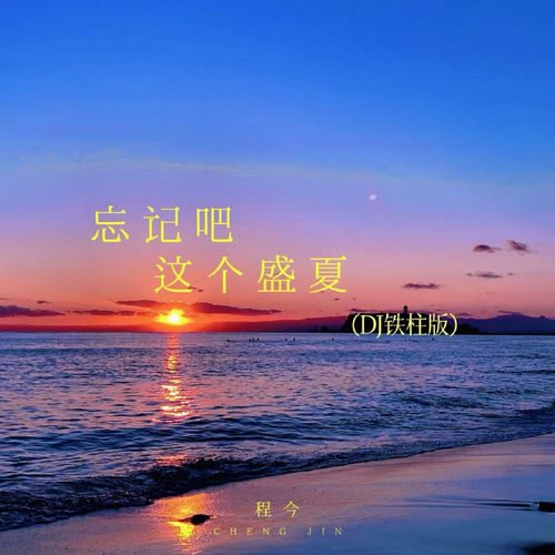 忘記吧這個盛夏 (DJ鐵柱版)