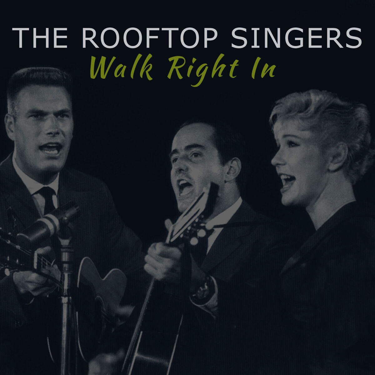 Album cover of Walk Right In