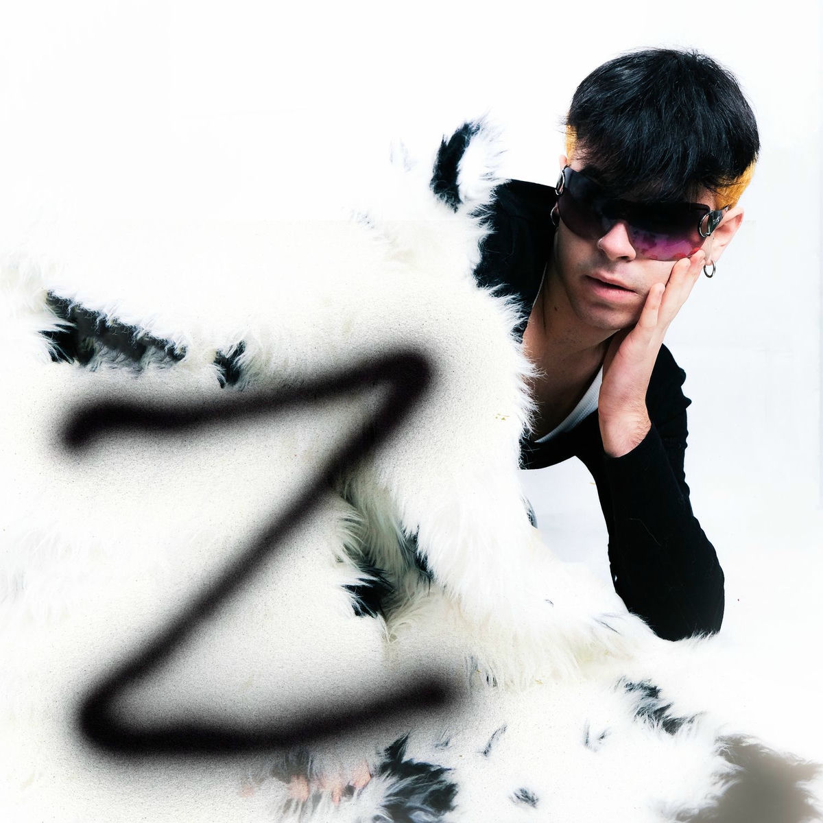 Album cover of Z