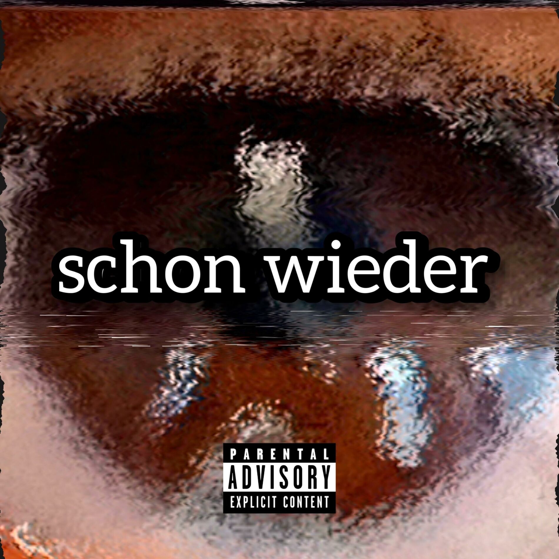 Album cover of schon wieder (feat. NOK1D) [Special Version]