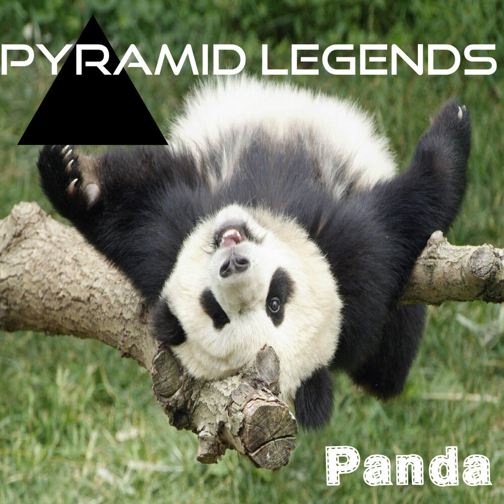 Picture of Panda