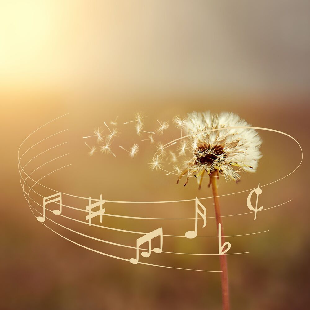 Picture of Purrsonic Waves - Calming Music for Tranquil Cats