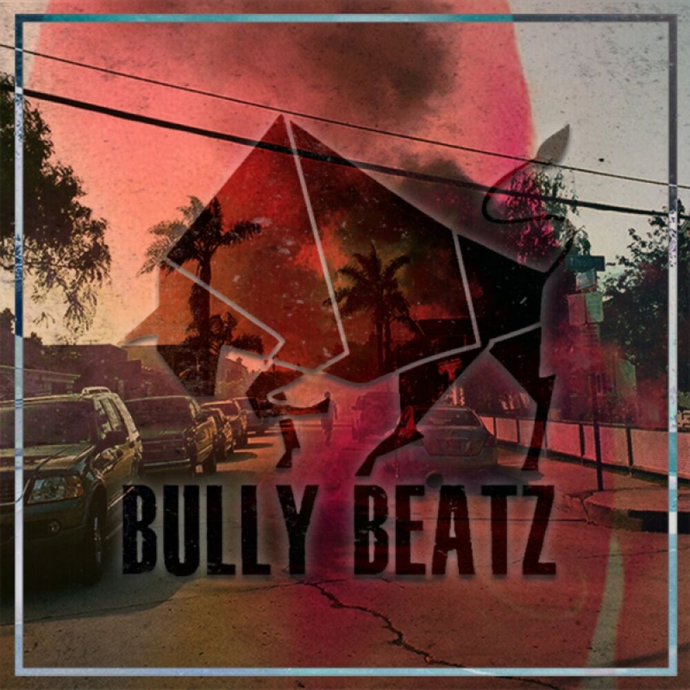 Picture of Bully Album Ten