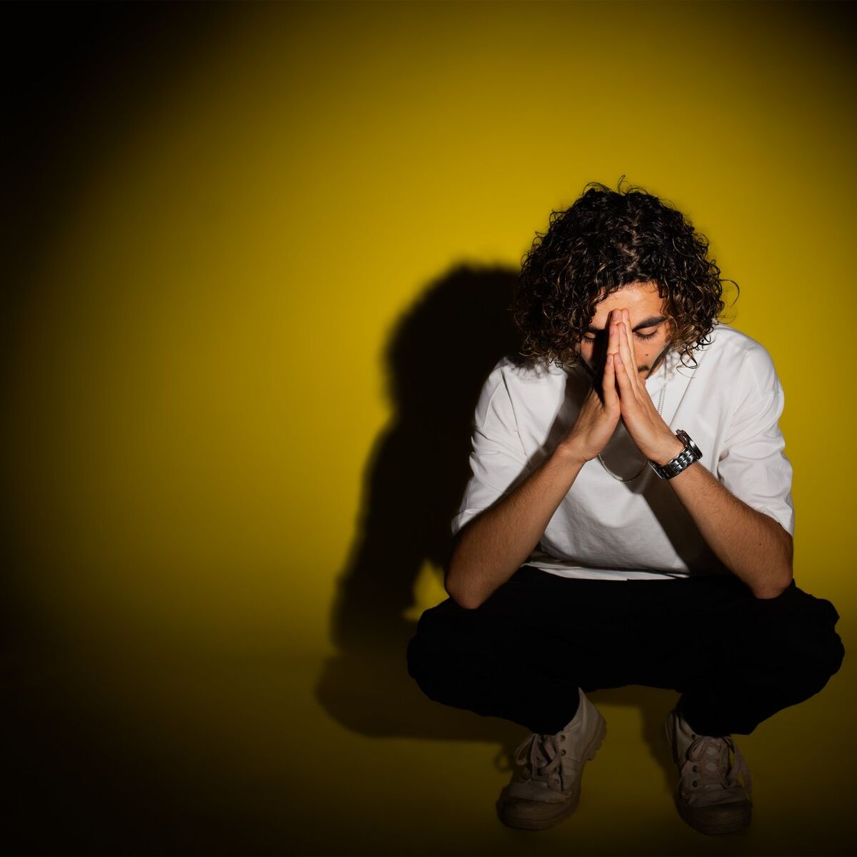 Album cover of שוונג