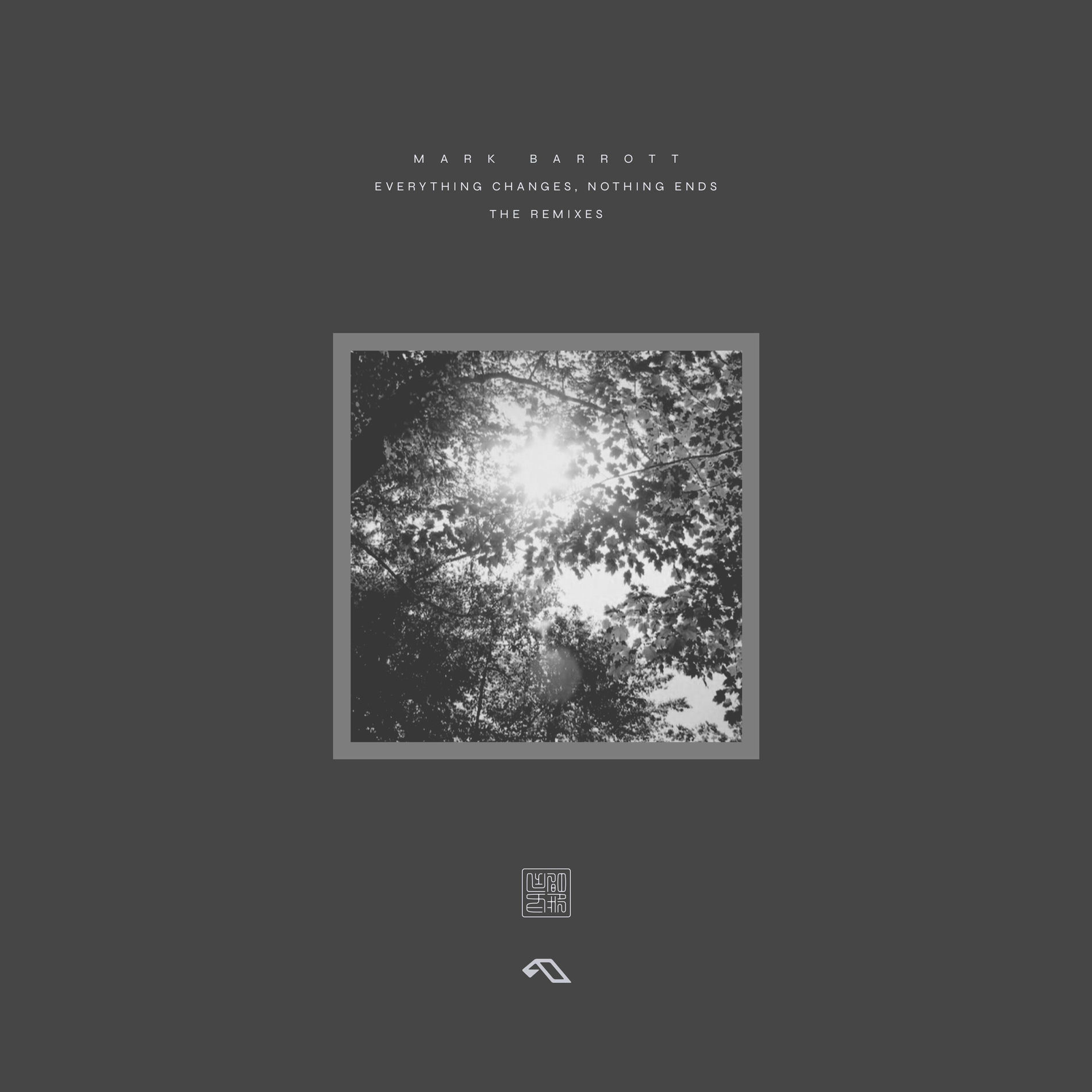 Album cover of Looking Through The Mirror Of The Soul