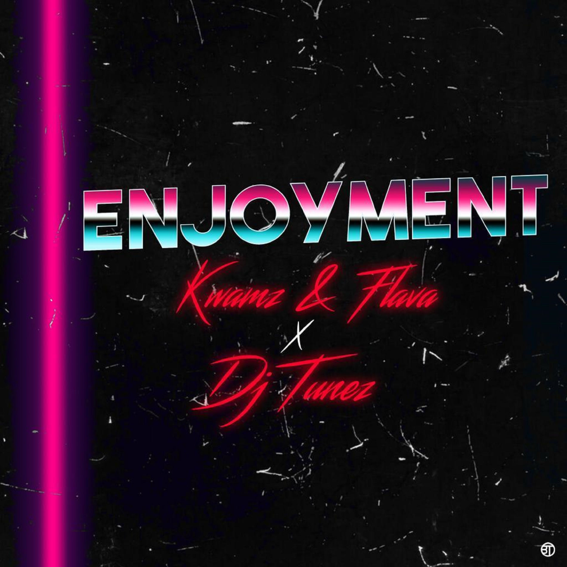 Album cover of Enjoyment