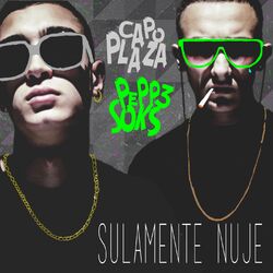 Cover of Sulamente nuje