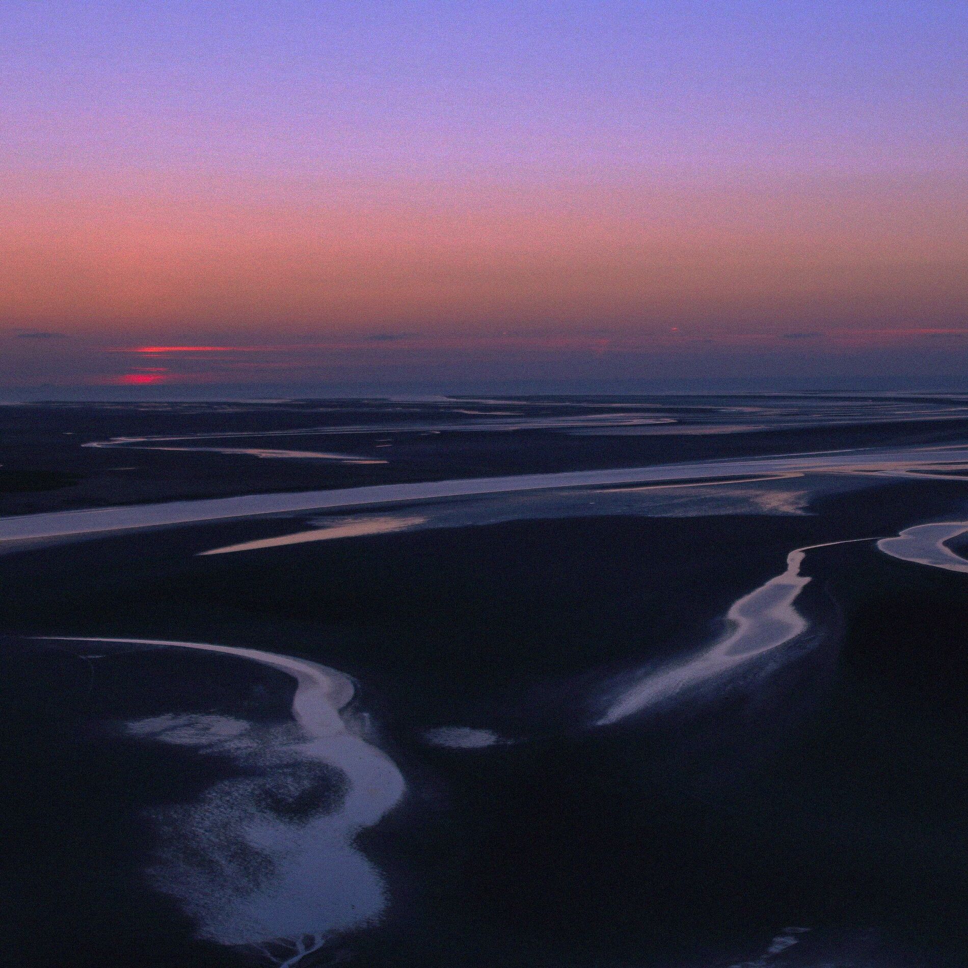 Album cover of Low Tide