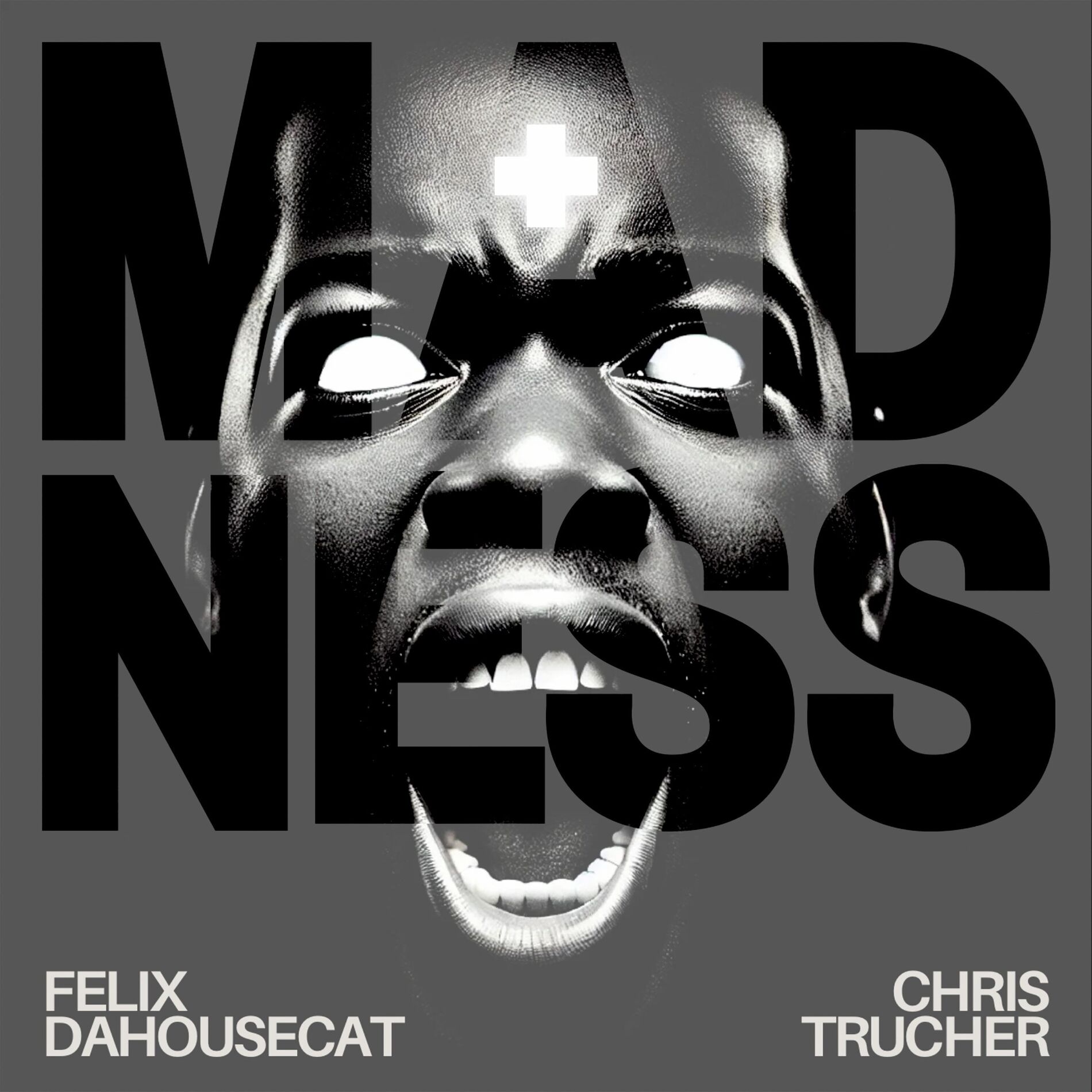 Album cover of Madness