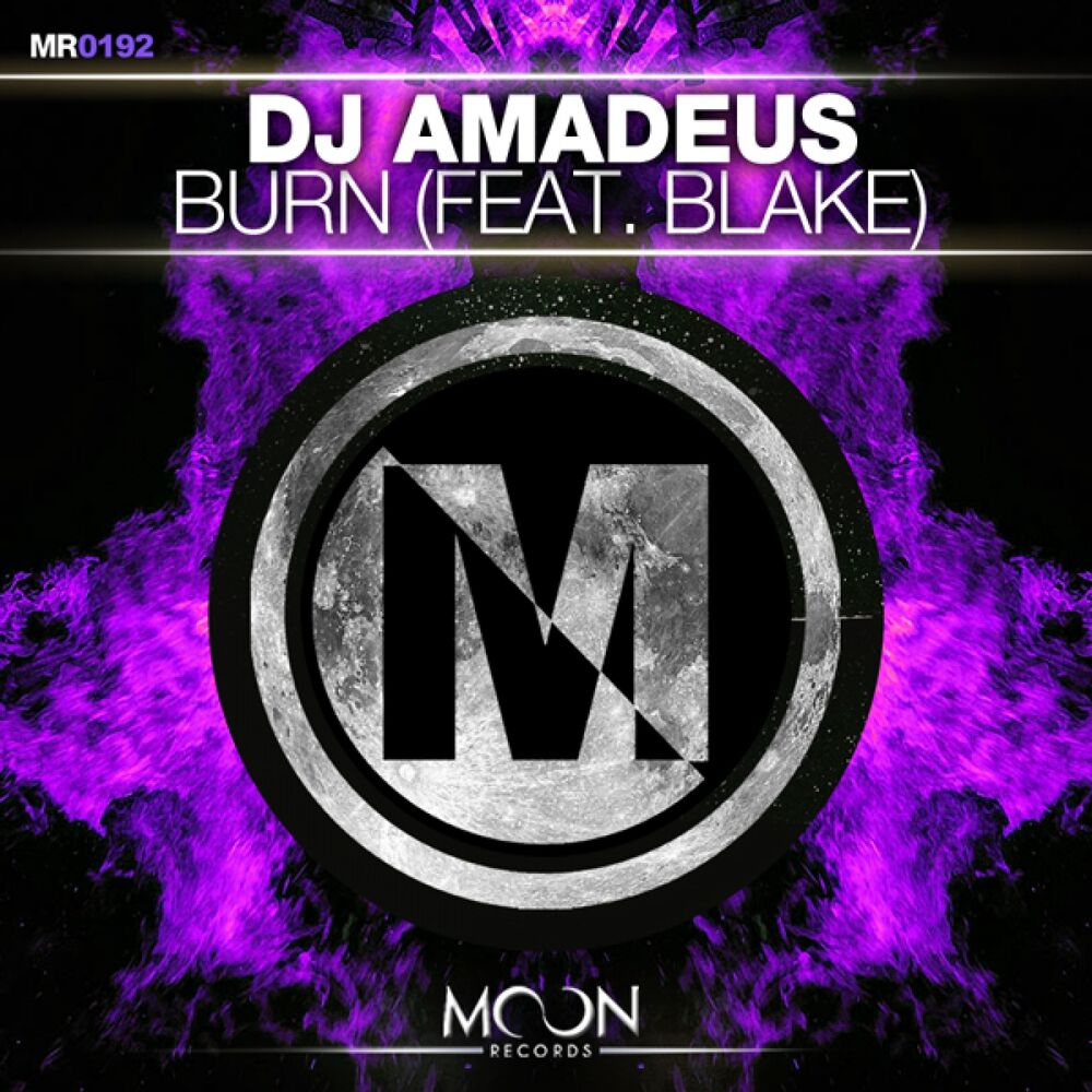Picture of Burn