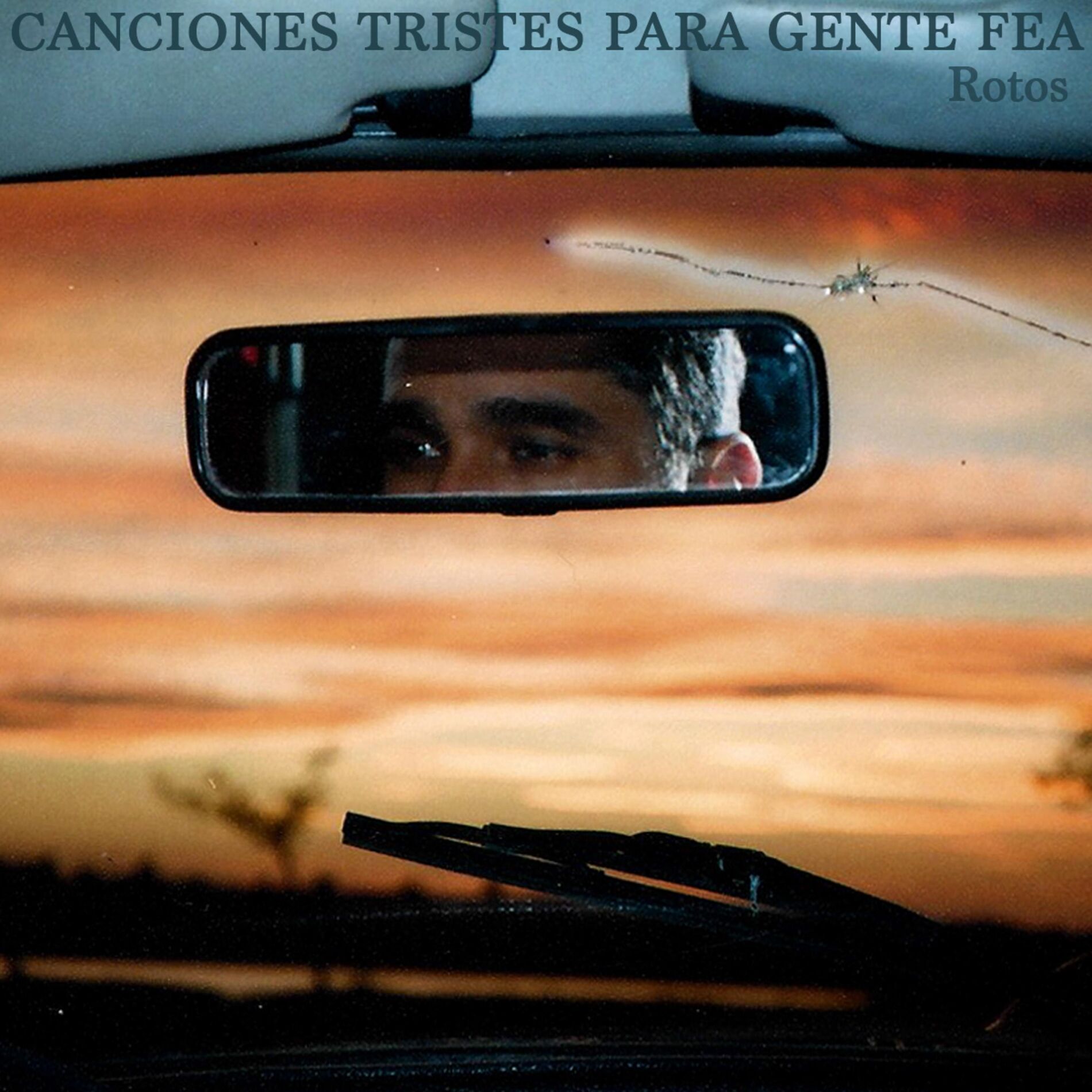 Album cover of Rotos