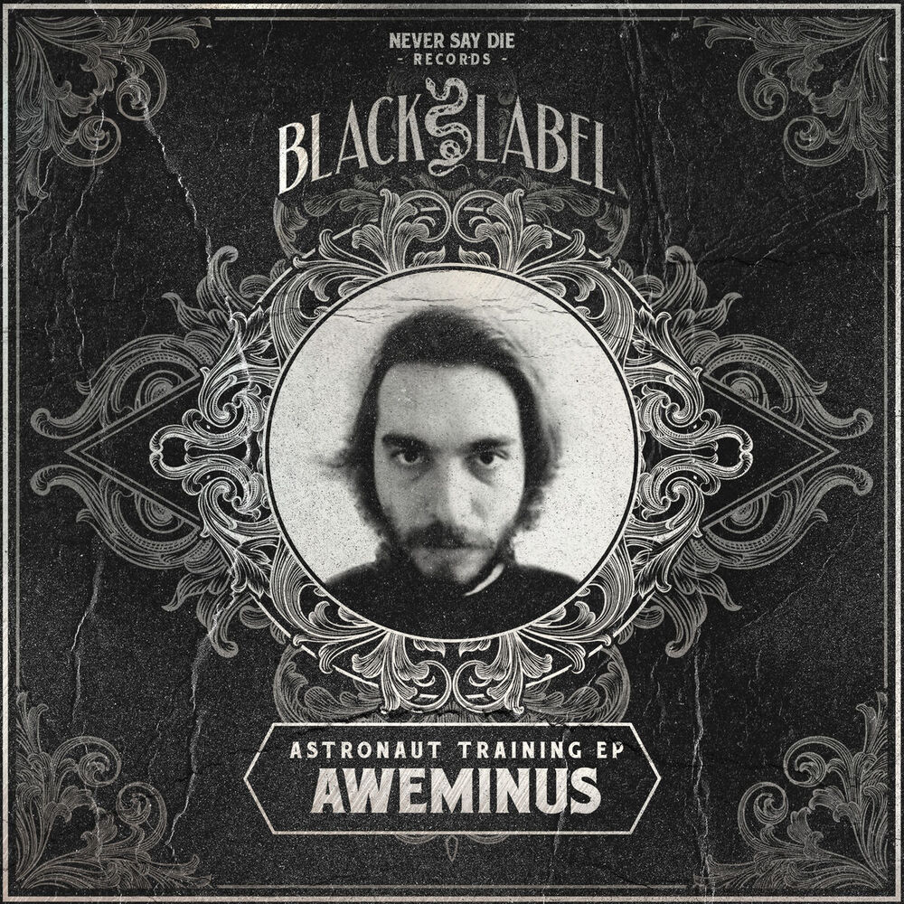Picture of Astronaut Training EP