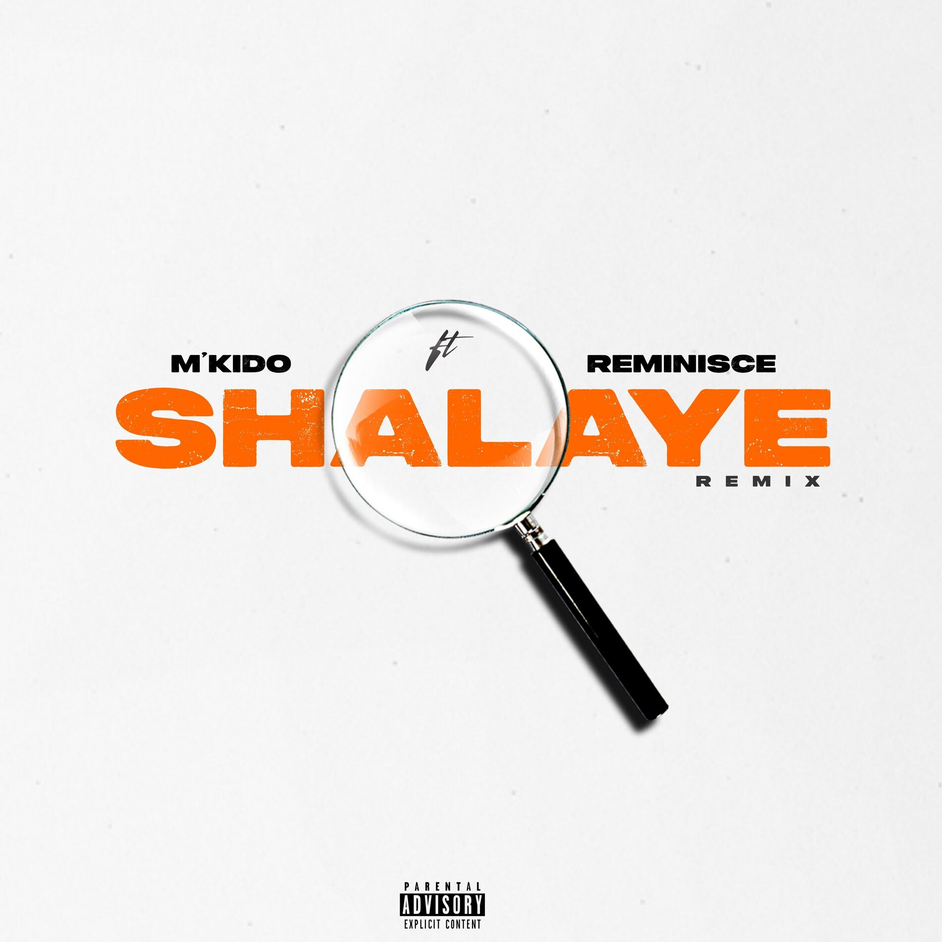 Album cover of Shalaye (Remix)