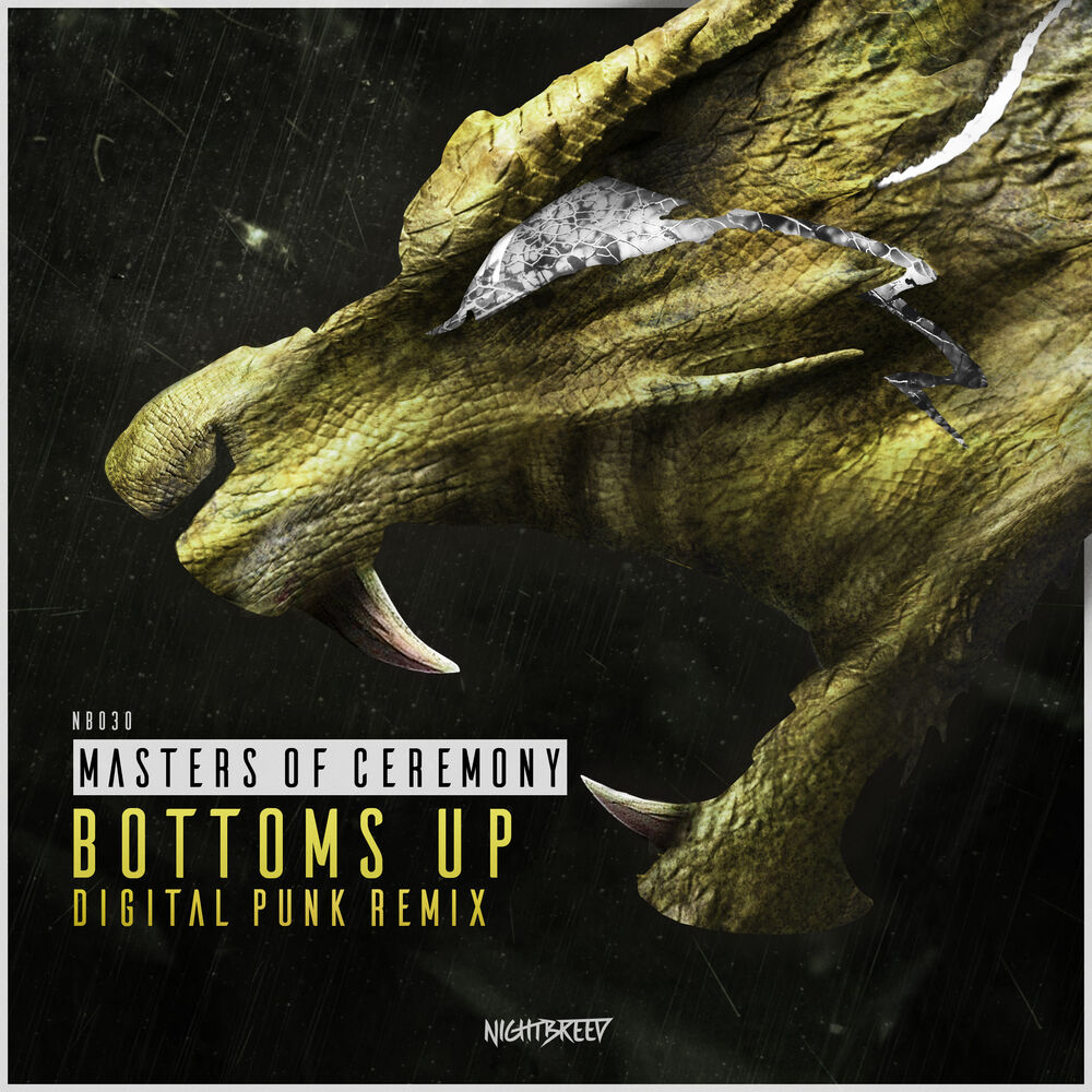 Picture of Bottoms Up (Digital Punk Remix - Radio Edit)