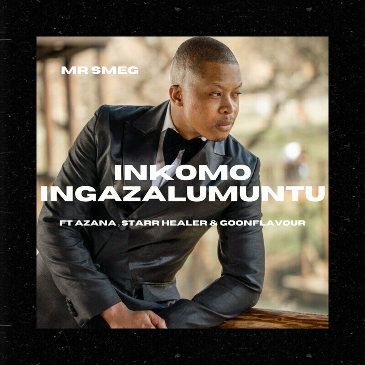 Album cover of Inkomo Ingazalumuntu