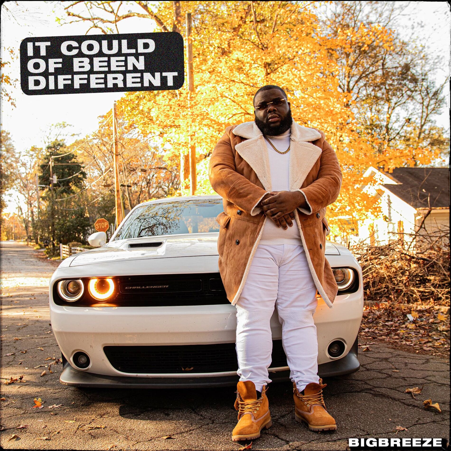 Album cover of It Could Of Been Different