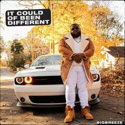 Cover of It Could Of Been Different