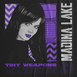Cover of Tiny Weapons