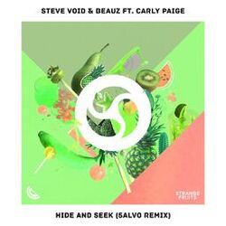 Cover of Hide & Seek (feat. Carly Paige) [5ALVO Remix]