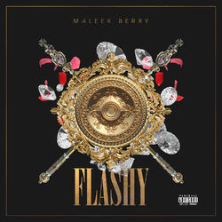 Cover of Flashy
