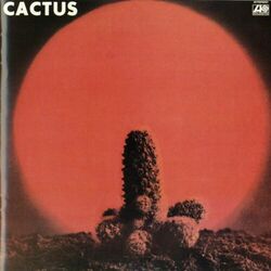 Cover of Cactus