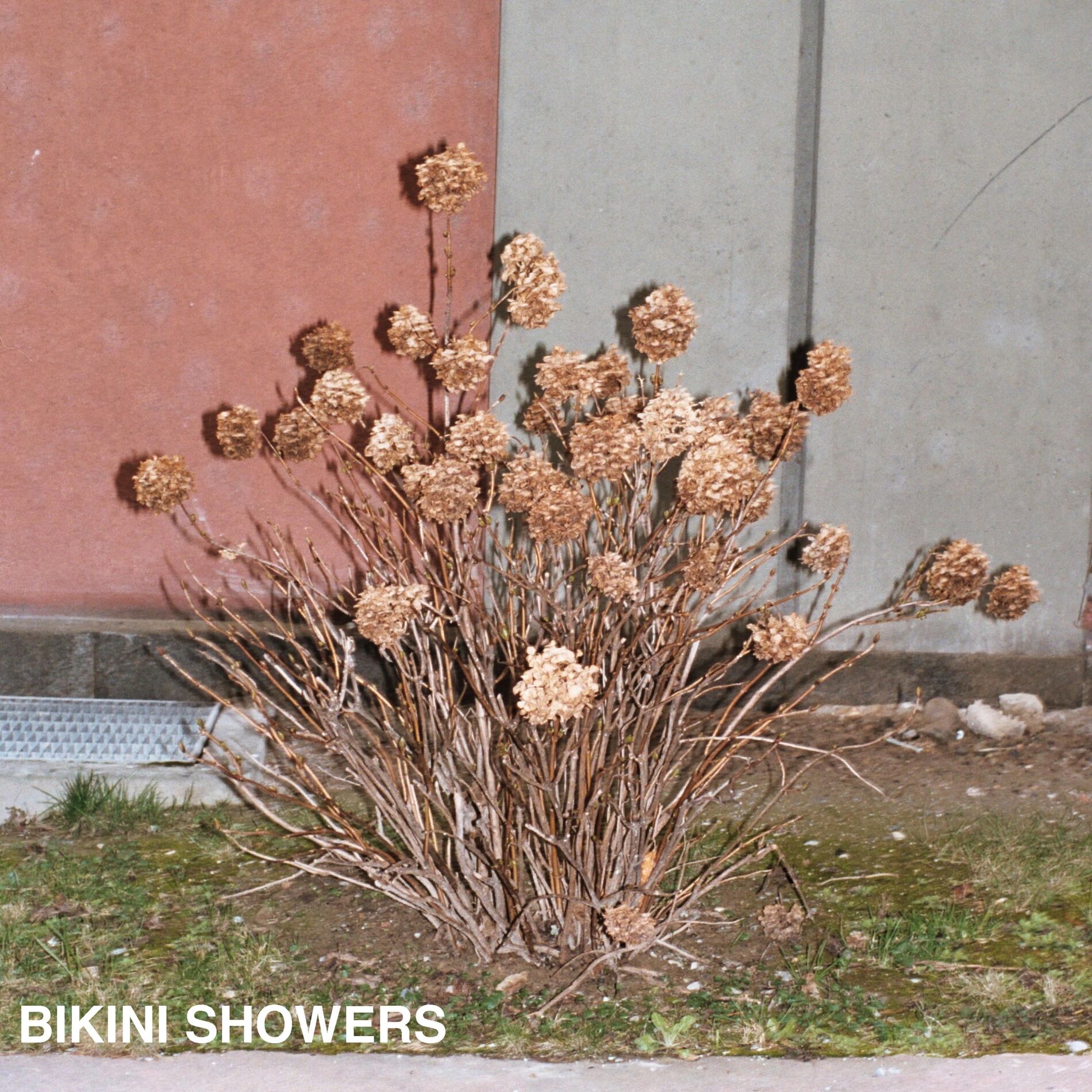 Album cover of Bikini Showers