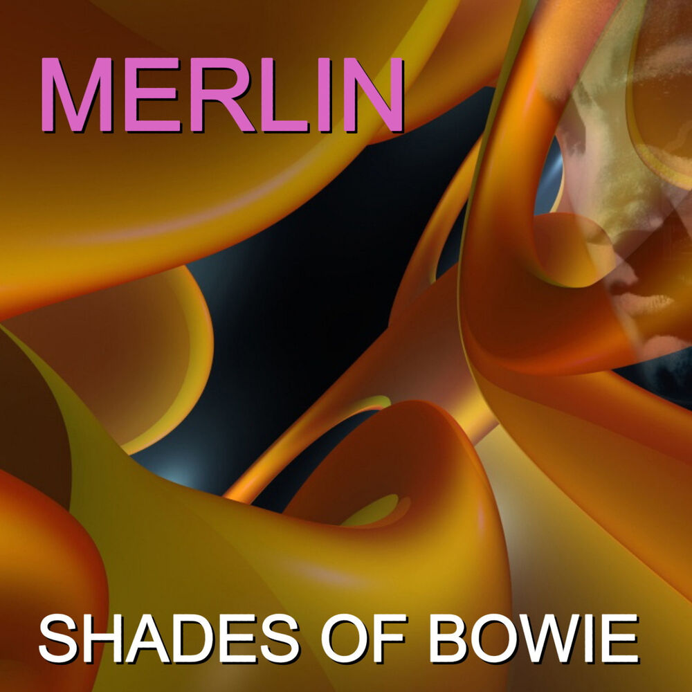 Picture of Shades of Bowie
