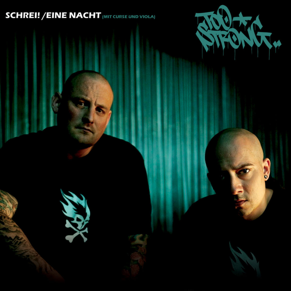 Album cover of Schrei!
