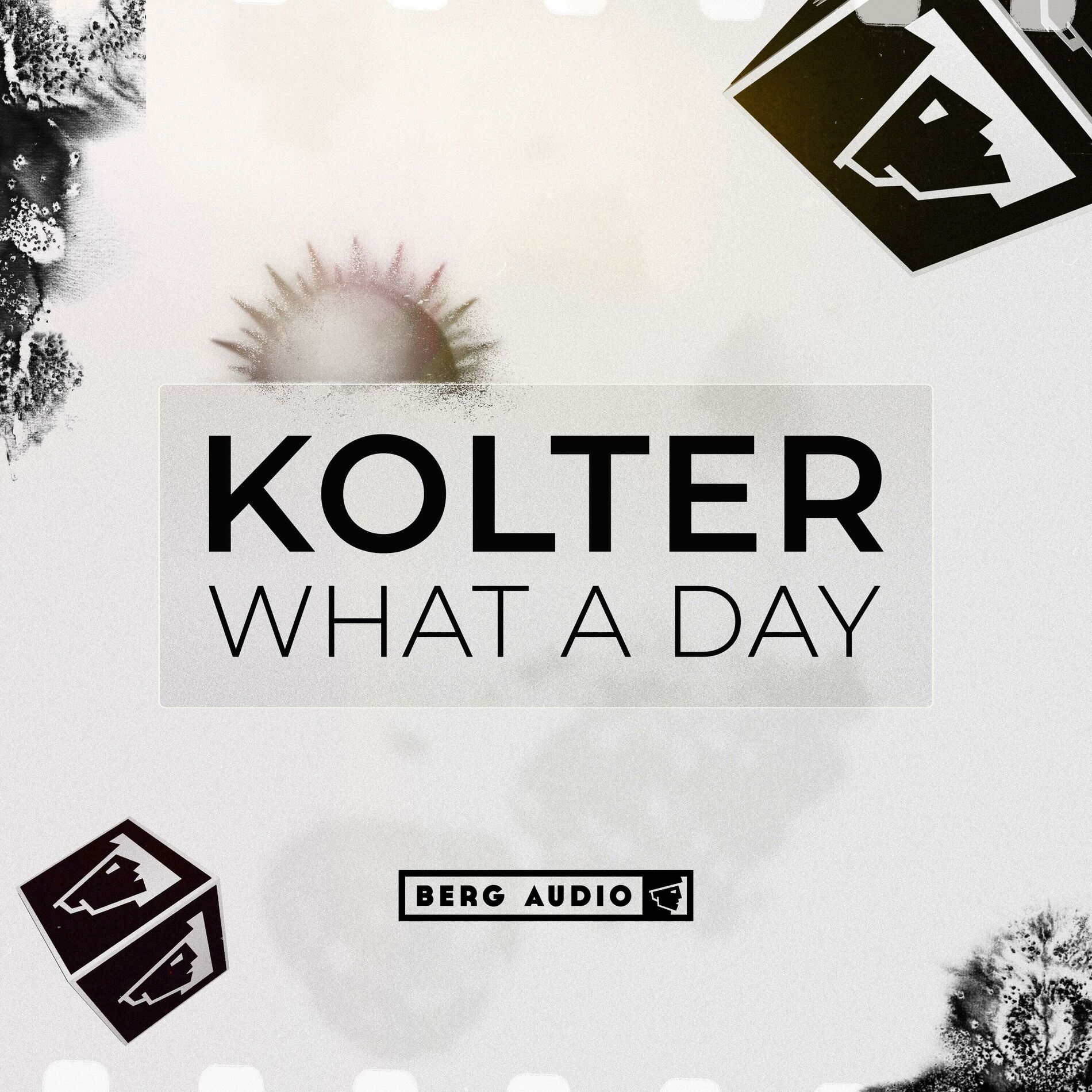 Album cover of What a Day