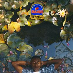 music cover