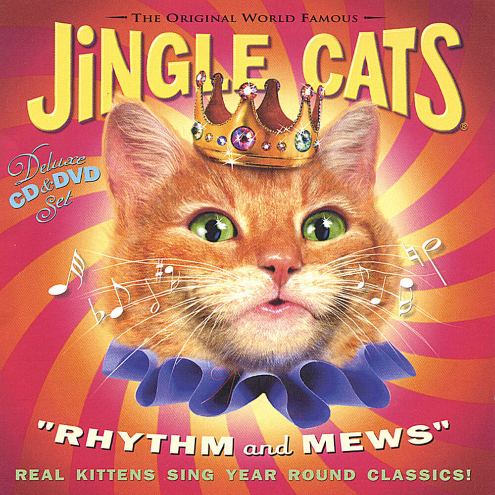 Picture of Rhythm and Mews