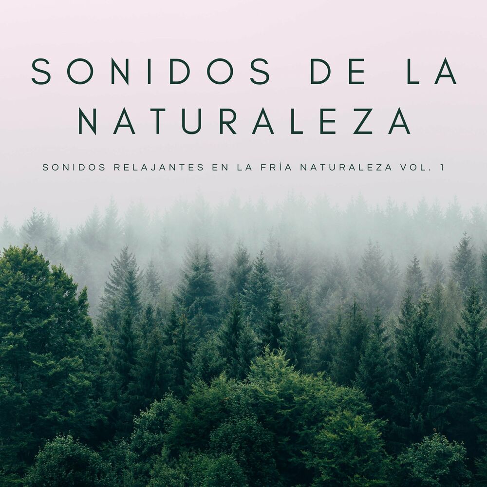 Picture of Música De La Naturaleza: Río Y Arroyo Para El Ejercicio De Respiración Vol. 1
