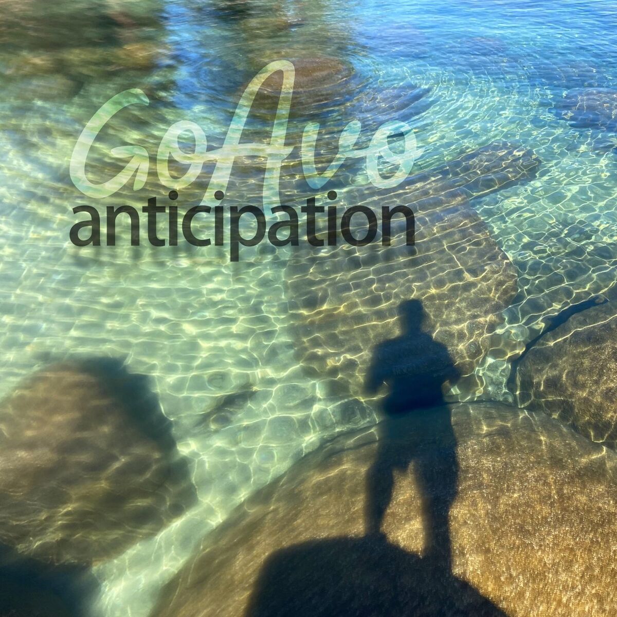 Album cover of Anticipation