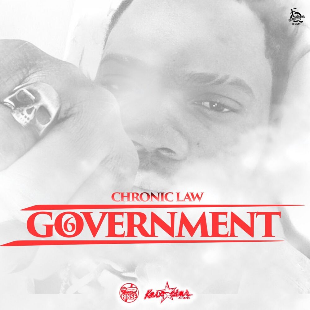 Picture of Government