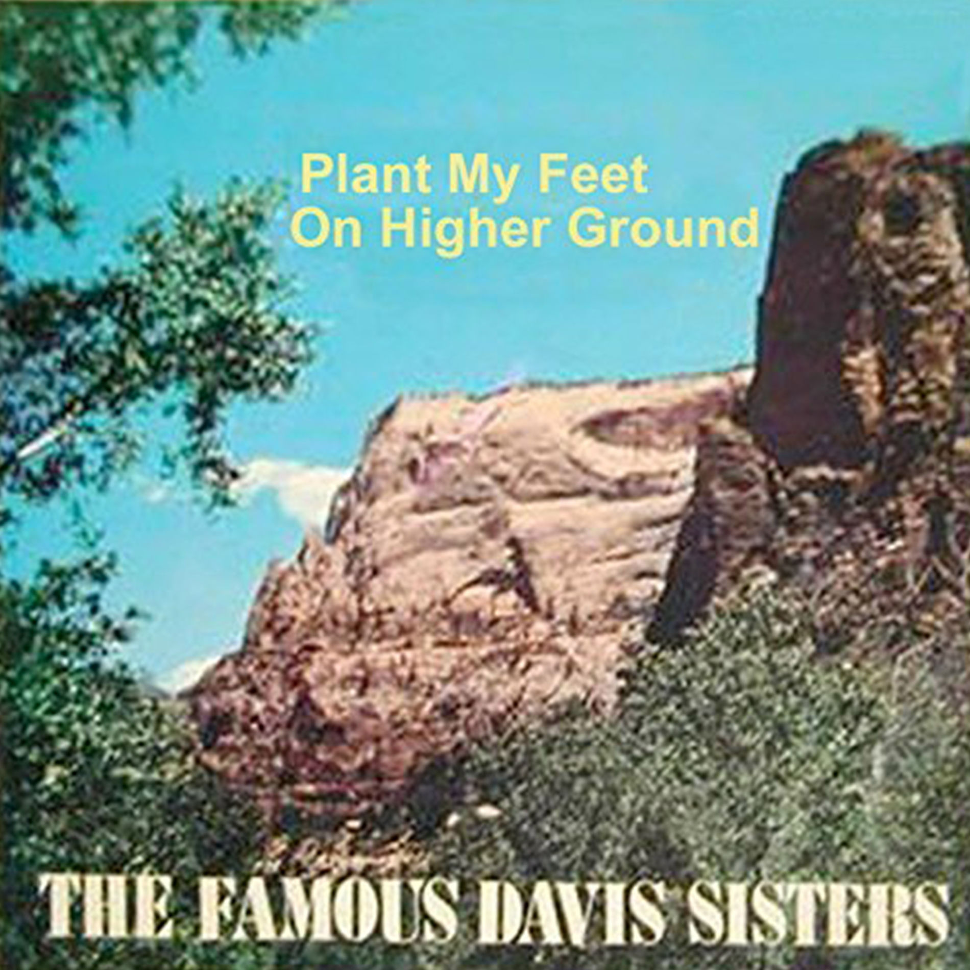 Album cover of Plant My Feet On Higher Ground