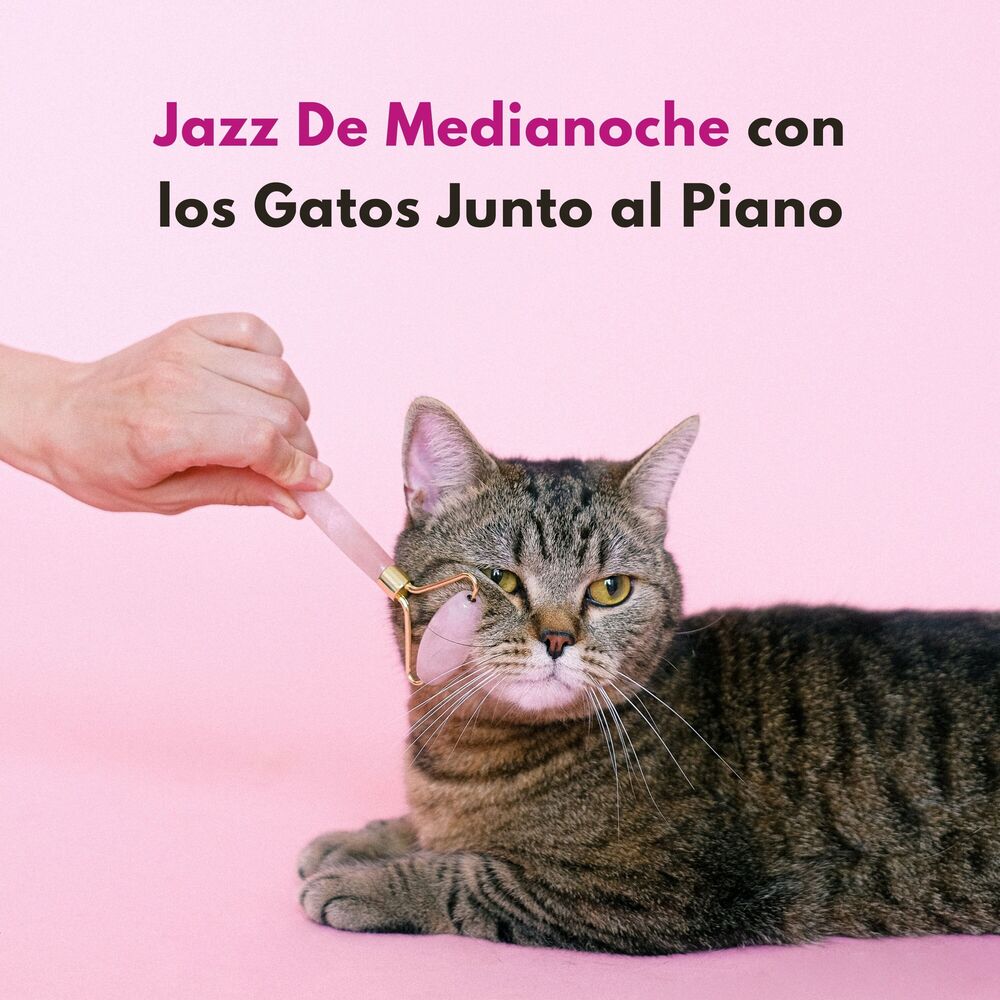Picture of Jazz De Medianoche Con Los Gatos Junto Al Piano