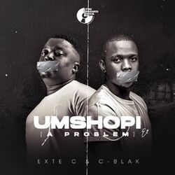 Cover of Umshopi