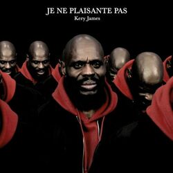 Cover of JE NE PLAISANTE PAS