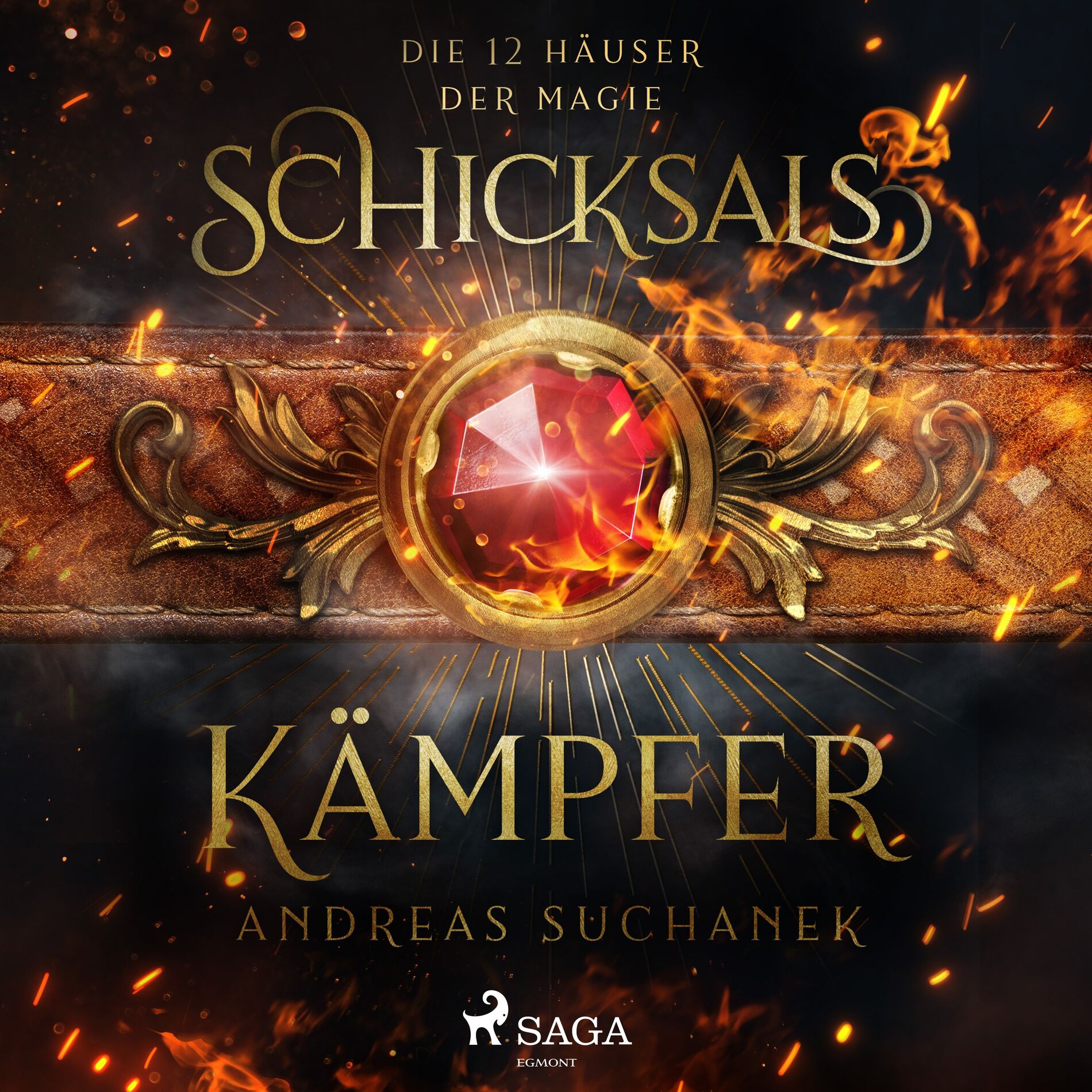 Album cover of Die 12 Häuser der Magie - Schicksalskämpfer