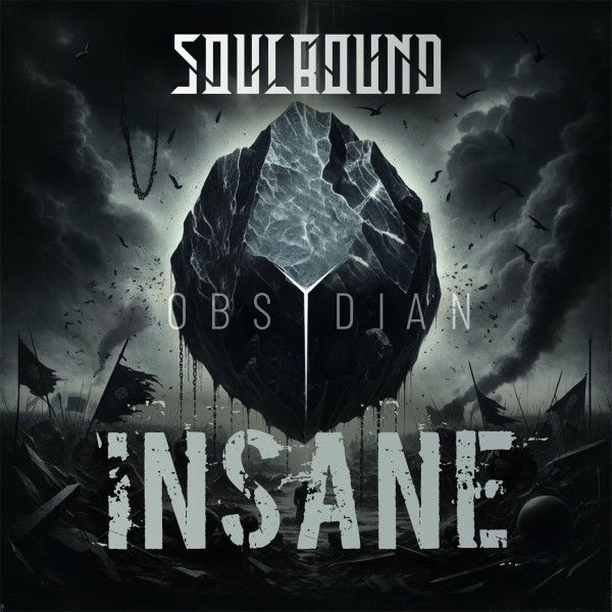 Album cover of Insane
