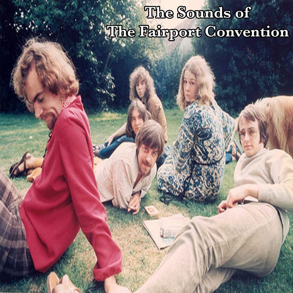 Album cover of The Sounds of The Fairport Convention
