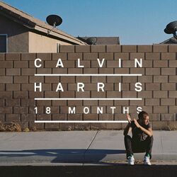 Cover of 18 Months
