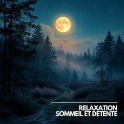 Cover of Nuit de Douceur et de Rêverie pour Dormir Calmement
