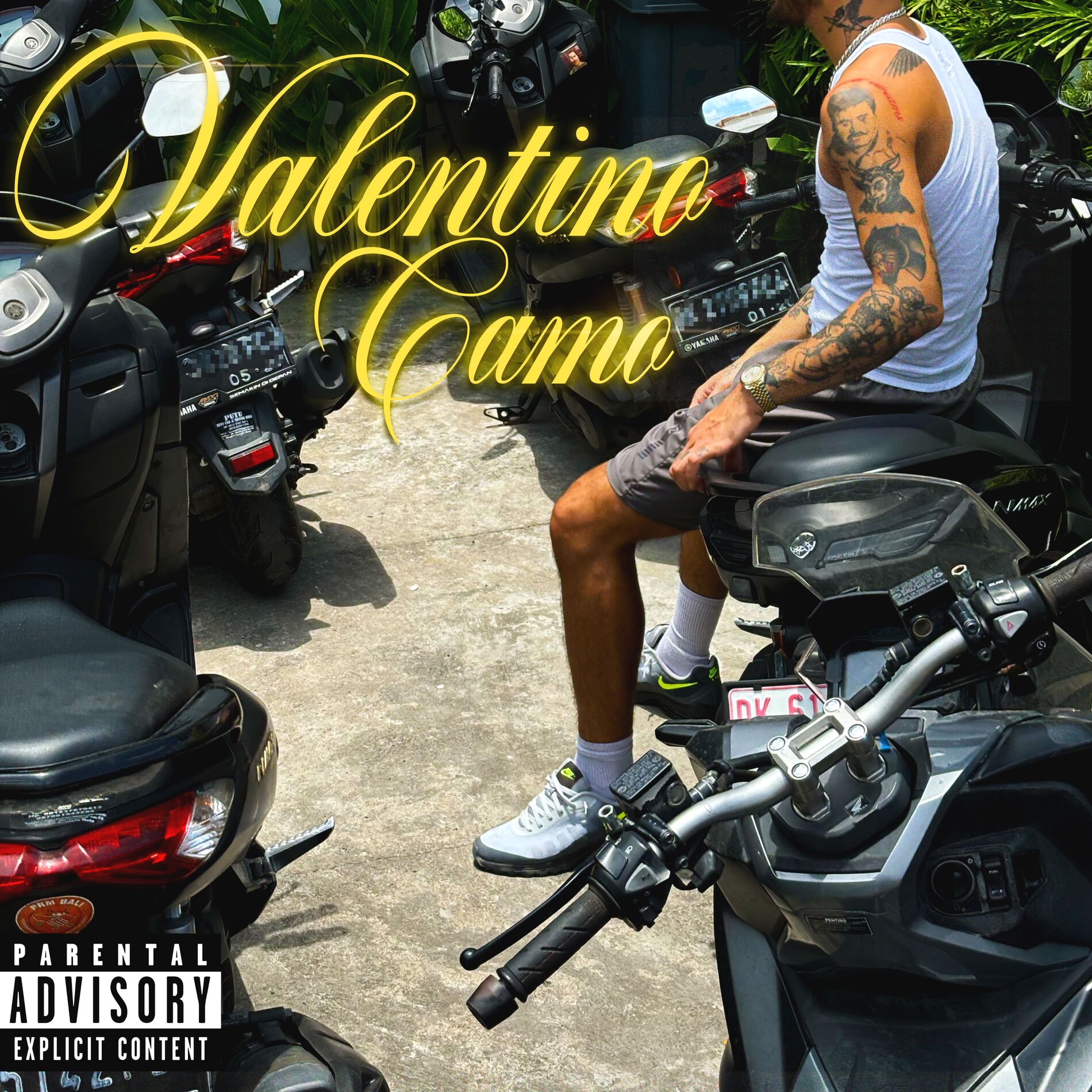 Album cover of Valentino Camo